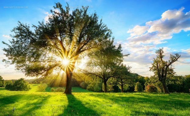 Температурата в Хасковска област на 8 юни 2026 г.: между 27°C и 30°C