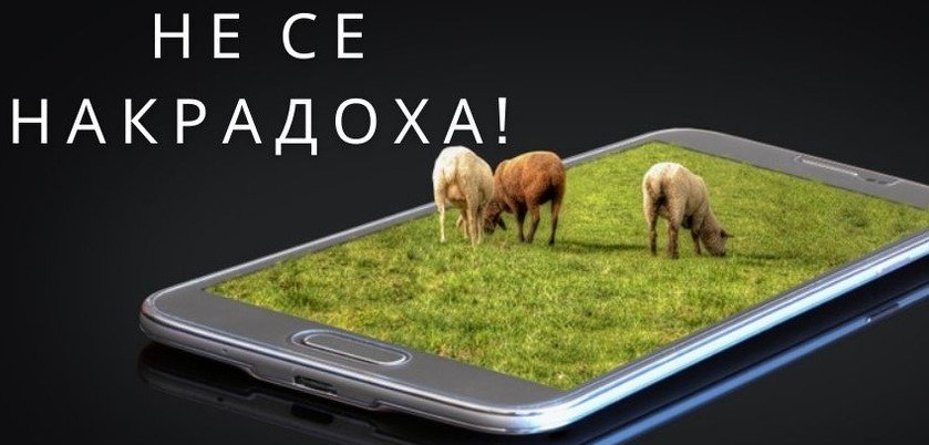 132 „виртуални“ животни край Харманли: проверка разкри липси, неясни обекти и риск за субсидиите