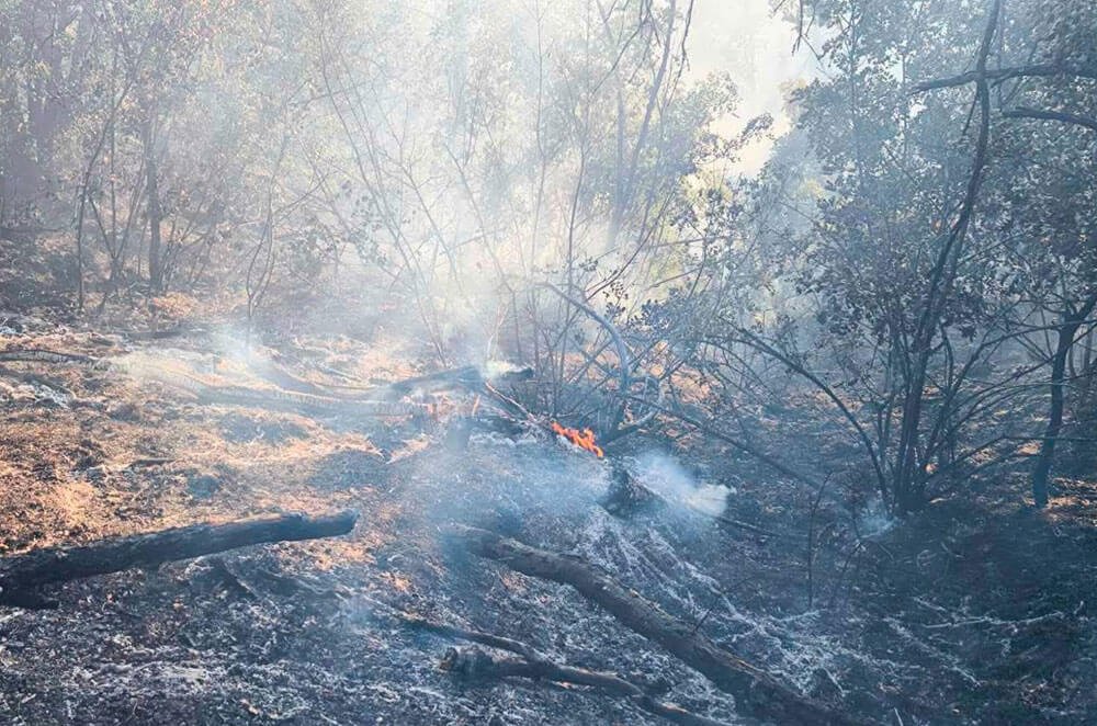 Пожарът край Иваново е локализиран, но вятърът държи екипите на пост