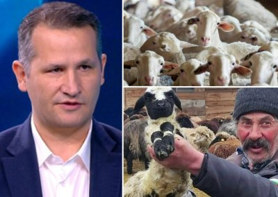 КЛАНЕ! Лъжецът Иван Христанов готви масово убийство на стадото на бай Рибан
