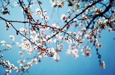 Пролетно време: Слънце и температури до 18&deg; в страната