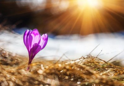 Рязко затопляне в Хасковско: Температурите скачат до 16&deg;C