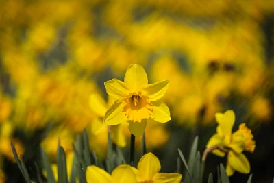 Предимно слънчево време в страната, възможни валежи на изток