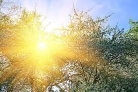 Слънце над Хасковско: Температурите тръгват нагоре, до 23&deg;C във вторник