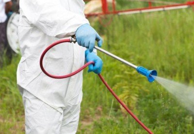 Димитровград започва пръскане срещу комари: парковете влизат във вечерен режим на ограничение