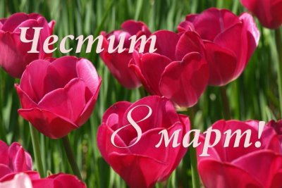 8 март: Светът отбелязва Международния ден на жената