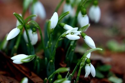 Студен фронт обхваща страната: Облаци, дъжд и силен вятър