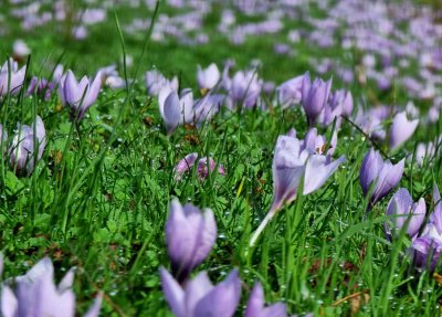Слънчево и топло време в по-голямата част от страната