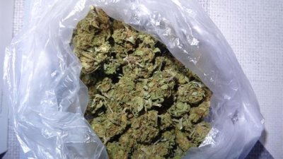 Полицията хвана три момчета с наркотици в Хасковско, сред тях и 14-годишен