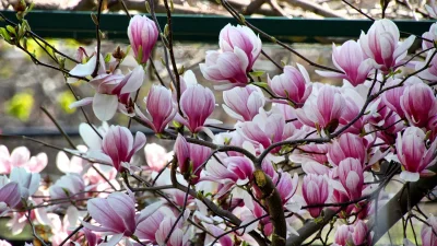 Слънце и приятни температури за 8 март