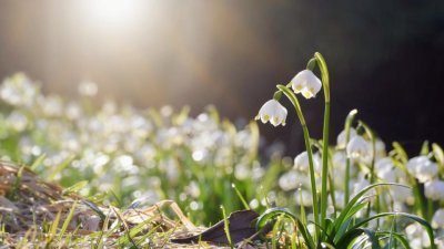 Времето се влошава: Облаци, валежи и сняг в планините