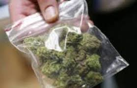 Арести за дрога в Хасково и Димитровград: Трима задържани, иззета марихуана и електронна везна