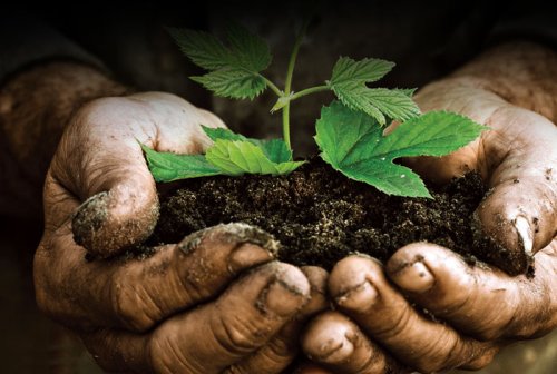 Войната удари торовете: Светът влиза в риск от хранителна криза