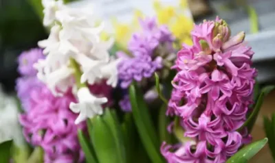 Предимно слънчево време с температури до 18 градуса