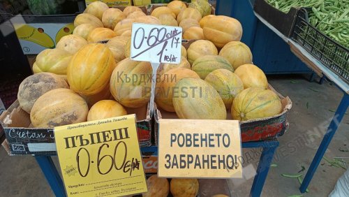 Пъпеши по 0,60 евро/кг в Кърджали: производител от Хасковско свали цената двойно