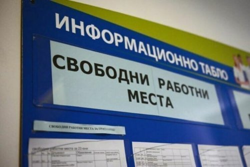 Бюрото по труда в Хасково обяви нови позиции: търсят счетоводител и учител по физика