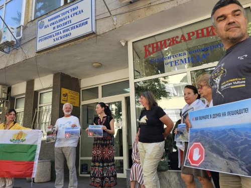 Ветропарк с 26 турбини до гнезда на редки птици в Родопите: еколози предупреждават за риск от изчезване
