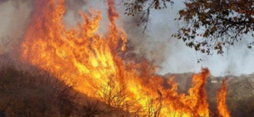 Пожарната в Хасково: Екстремен риск от бързи пожари от 7 до 11 август