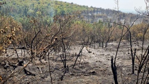 Пожарът край Горно Луково е локализиран, но рискът остава: екипи пазят района денонощно