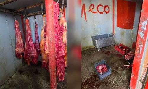 Нелегална кланица в Симеоновград: откриха близо 500 кг месо без документи