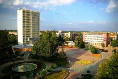 Димитровград маха опасни дървета и сади нови: старт на озеленяването от 13 октомври