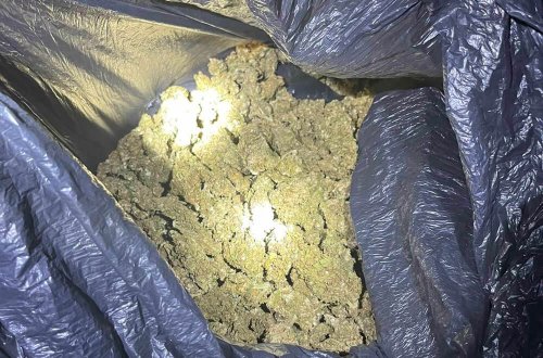 Полицията удари канабиса в региона: 13 растения по 2 метра и 5 кг марихуана в Димитровград