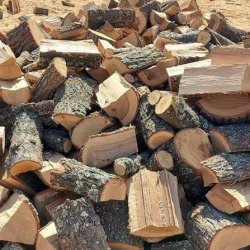 Хасково осигурява дърва за институциите: десетки кметства, училища и читалища влизат в списъка