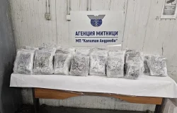Близо 50 кг марихуана в тайник: митничари спират кола с немска регистрация на &bdquo;Капитан Андреево&ldquo;