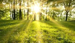 Слънчево и горещо в Хасковско на 11 юни: Летни температури до 31&deg;C преди захлаждането