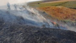 Забраняват машинната работа по нивите в най-рисковите часове: мерки срещу пожарите от 10 юли