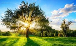 Температурата в Хасковска област на 8 юни 2026 г.: между 27&deg;C и 30&deg;C