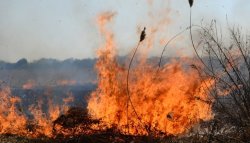 Жълт код в Хасковско: 37&deg;C в неделя и повишен риск от пожари