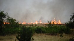 83 пожара за месец в Хасковско: 20 с щети, един пострадал и десетки сигнали за треви