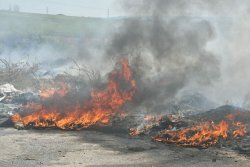 Забраната за косене в Хасковско остава до 15 септември: рискът от пожари расте