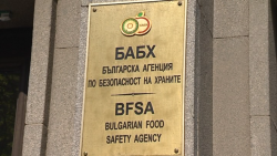 Шарка по овце и кози в Хасковско: БАБХ затвори райони в 5 и 20 км зони