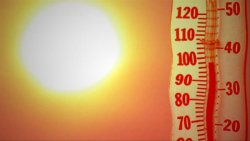 Жълт код за опасни жеги в Хасковско: 37&deg;C и повишен риск от пожари