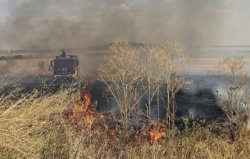 Пожар край Княжево: 6 екипа и доброволци спират огъня, вятърът усложнява гасенето