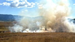 14 души глобени за пожари в Хасковско: идват дни с екстремен риск