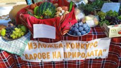 Крум извади реколтата на показ: &bdquo;Даровете на природата&ldquo; събра производители и фолклорни групи