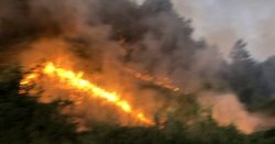 Пожар изпепели стопанска постройка в Сърница: изгоря покрив и 200 бали фураж