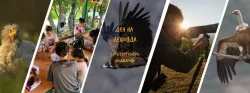 Маджарово събира любителите на дивата природа: фестивал за Международния ден на лешояда на 5 септември