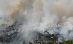 Пожарът край Горно Луково излезе извън контрол: обявиха частично бедствено положение в Ивайловградско