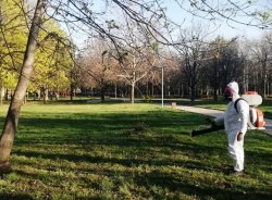 Харманли влиза в режим &bdquo;пръскане&ldquo;: обработват паркове и площадки срещу кърлежи