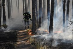 Пожарът край Горно Луково още не е овладян: рискът от нови огнища остава