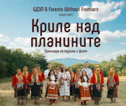 &bdquo;Криле над планините&ldquo; с национална награда: музика, фолклор и звуци от Родопите в един проект
